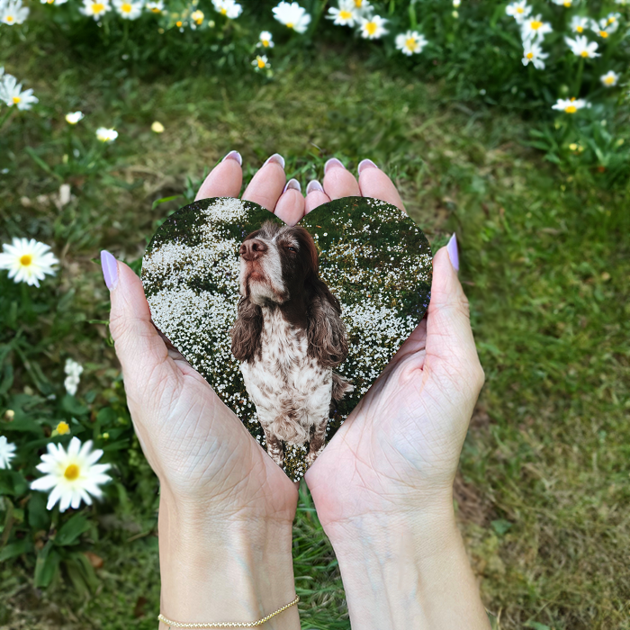 Foto von Fotoandenken grosses Herz mit Magnet